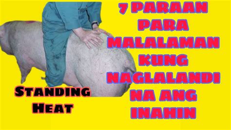 atabs palang nag lalandi na|Atabs Palang Nag Lalandi Na .